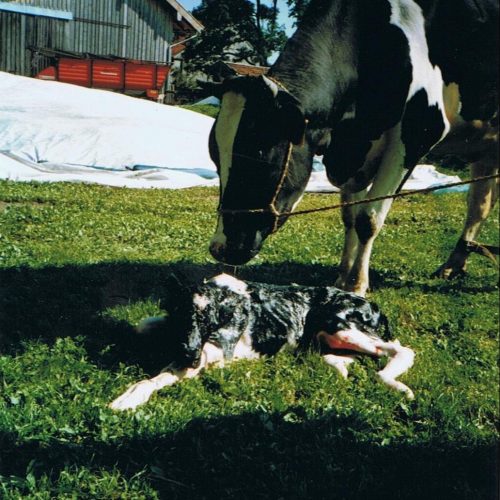 24-Stunden-Notdienst für Ihre Sicherheit