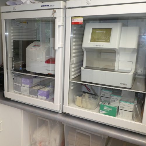 Tierarzt bei Notfallversorgung Kuh