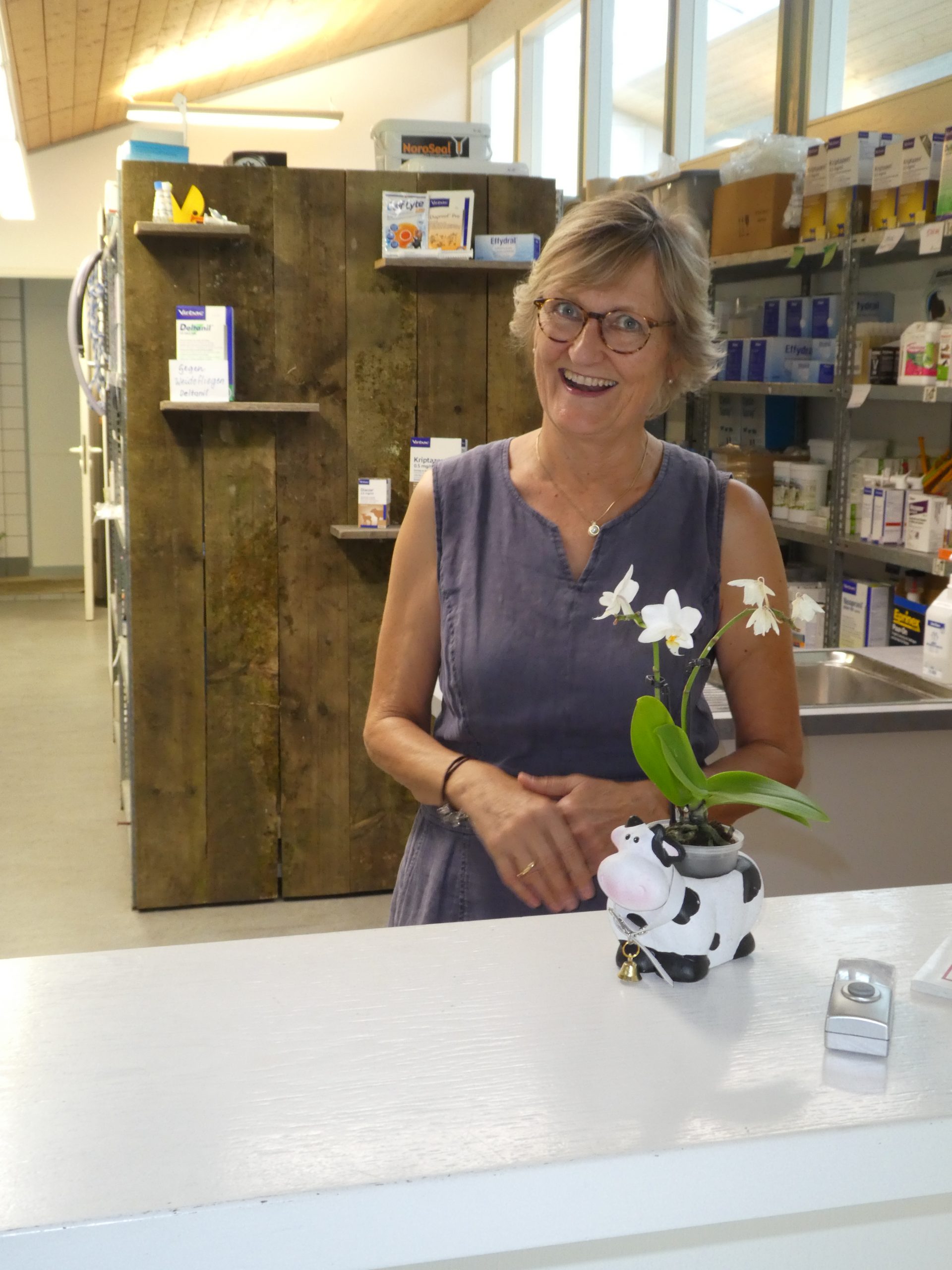 Gesundheitskontrolle bei Rinderbestand