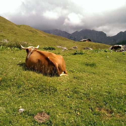Zusammenarbeit auf Augenhöhe