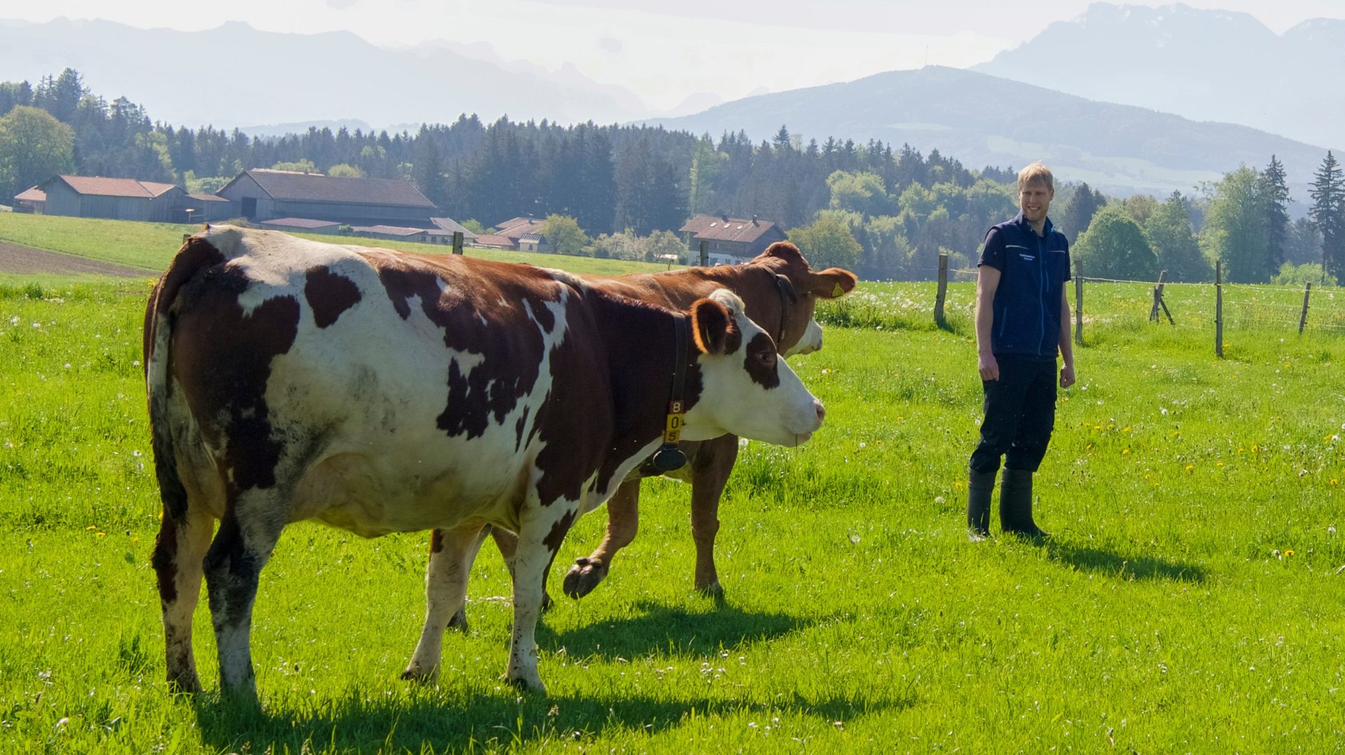 Mobile Tierarztpraxis auf Bauernhof